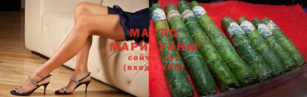 индика Козловка