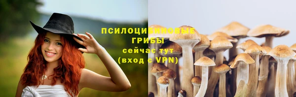 СК Михайловск